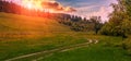 Rural dirt road at sunset. Green grass field and mountain landscape