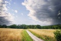 Rural dirt road surrounded by golden field Royalty Free Stock Photo