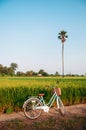 Rural dirt road tropical green rice field and bicycle in Koh Tepo, Uthaithani, Thailand Royalty Free Stock Photo