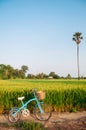 Rural dirt road tropical green rice field and bicycle in Koh Tepo, Uthaithani, Thailand Royalty Free Stock Photo