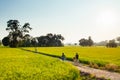 Rural dirt road tropical green rice field and bicycle tour in Ko Royalty Free Stock Photo