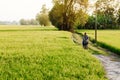 Rural dirt road tropical green rice field and local bicycle in K Royalty Free Stock Photo