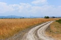 Rural dirt road among wheat fields Royalty Free Stock Photo