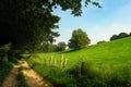 Rural dirt track in grassland