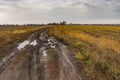 Rural dirty earth road between fields