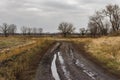 Rural dirty earth road in rainy autumnal season
