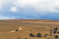 Rural Dry Winter Vegetation Blue Cloudy Sky Wilderness Landscap Royalty Free Stock Photo