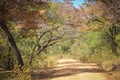 Rural Dust Road- Zimbabwe