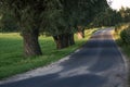 Rural dusty countryside road trough a fields and green trees. Royalty Free Stock Photo