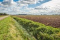 Rural Dutch landscape in autumn Royalty Free Stock Photo