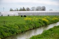 Spring blossom of cherry trees in orchard, fruit region Haspengouw in Belgium, nature landscape