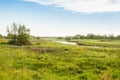 Rural Dutch landscape in springtime Royalty Free Stock Photo