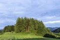 Rural Eifel landscape with forest and green meadow