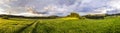 Rural Eifel landscape with forest and green meadow