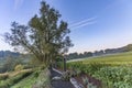 Rural eifel landscape in morning light