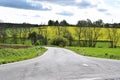 country road in spring