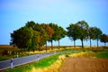 rural highland avenue in the Eifel during autumn