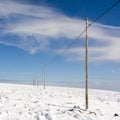 Rural electric poles during the winte in Auvergne, France