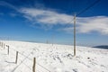 Rural electric poles during the winter in Auvergne, France