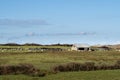 Rural England sheep farming in North Devon with old barn.