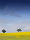 Rural English Landscape Royalty Free Stock Photo