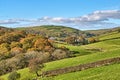 A rural English scene with Autumn trees.