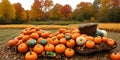 Rural fall harvest. Beauty of autumn harvests. Generative AI Royalty Free Stock Photo