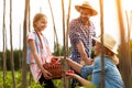 Rural family in garden picking tomatoes