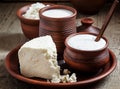 Rural farm dairy products: milk, sheep`s cheese, cottage cheese