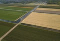 Rural farm fields with natural food growing in Netherlands Royalty Free Stock Photo