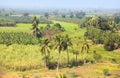 Rural farm lands in India Royalty Free Stock Photo