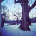 Snowy farm scene in Cincinnati Ohio Royalty Free Stock Photo