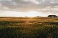 Rural farm during the sunset Royalty Free Stock Photo