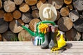 Rural farming concept with garden tools and wicker hat on a wood logs