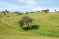 Rural Farmland, Southern New South Wales, Australia