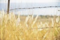 Rural fencing in harsh environment Royalty Free Stock Photo