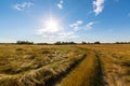 Rural field and country road, under bright sun light Royalty Free Stock Photo