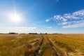 Rural field and country road, under bright sun light Royalty Free Stock Photo