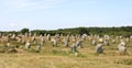 Rural field with grouping of upright monoliths and large stones with blue sky in the background