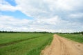 Rural field of plants and shrubs. Dirt road and stream. Forest in the distance. There are thick clouds in the sky. Green grass