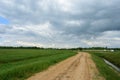 Rural field of plants and shrubs. Dirt road and stream. Forest in the distance. There are thick clouds in the sky. Green grass