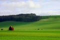 Rural field scene in Wiltshre Royalty Free Stock Photo