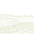 Rural fields landscape. Countryside landscape fields hills. Growing vegetables garden rows. Agriculture farming. Vector