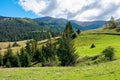 rural fields on rolling hills in green grass Royalty Free Stock Photo
