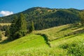 rural fields on rolling hills in green grass Royalty Free Stock Photo