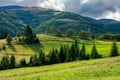 rural fields on rolling hills in green grass Royalty Free Stock Photo