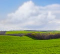 rural fields unde blue cloudy sky Royalty Free Stock Photo