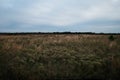 Rural Florida Landscape of Marsh, Scrub Forest, and Pine Flatwoods