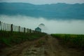 Rural Fog Royalty Free Stock Photo