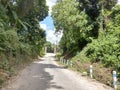 Rural footpaths with green trees on the side of the road look beautiful